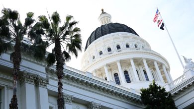 California’s Starless Governor’s Race Could Get Very Weird