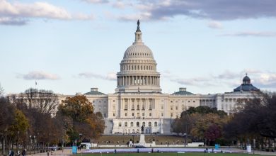 US power politics creates volatile environment for Chinese investment: report – World