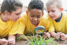 My Quest for an Affordable Summer Camp Without Sacrificing My Savings | Finance