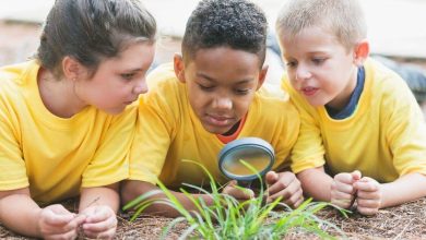 My Quest for an Affordable Summer Camp Without Sacrificing My Savings | Finance