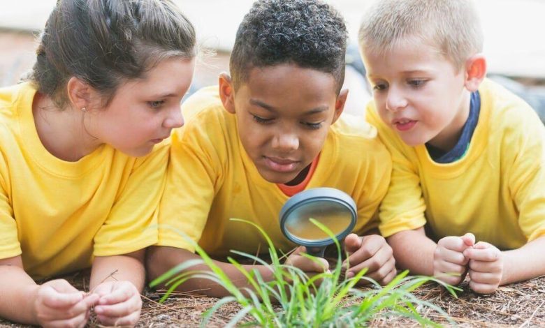 My Quest for an Affordable Summer Camp Without Sacrificing My Savings | Finance My Quest for an Affordable Summer Camp Without Sacrificing My Savings | Finance