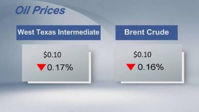 Crude futures settle lower