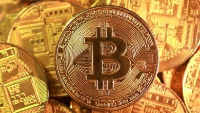 Iran’s two crypto economies: state guile and household survival Iran’s two crypto economies: state guile and household survival