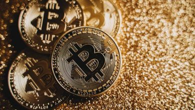 Bitwise Explains Why Gold Defends and Bitcoin Attacks During Market Cycles