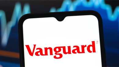 Vanguard LifeStrategy Lowers UK Stock and Bond Exposure in Rebalance