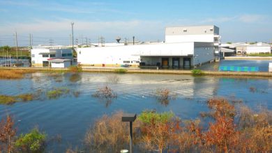 Stocks & ETFs to Invest in Water