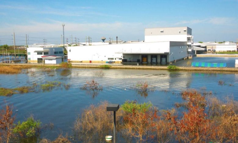 Stocks & ETFs to Invest in Water Stocks & ETFs to Invest in Water