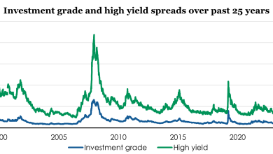 More than meets the eye: Strong valuations do not mean low risk | Fixed income market commentary 4Q 2025