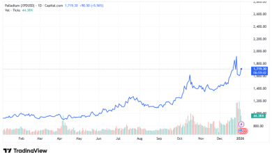 New Age Metals Provides A 2026 Go Forward Plan And A Summary 2025 Chairmans Message
