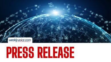 Power Metallic Reports Lion Zone Recoveries of 98.9% Copper, 93.9% Palladium, 96.8% Platinum, 85% Gold and 88.9% Silver from Initial Metallurgical Results as Reported by SGS Canada Inc.