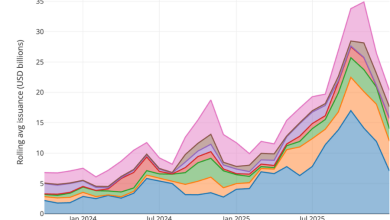 Euro rebounds in January IPOs