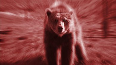 CHART: Friday massacre for mining stocks but copper price pulls out of nosedive