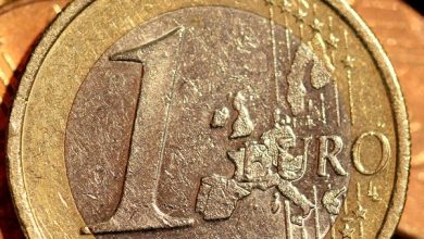 What EDV’s Rout Means for US Portfolios