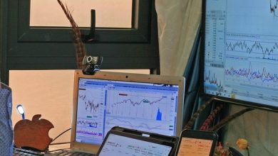 Defensive Pharma Heavyweight Weighs Litigation Risks Against Pipeline Promise