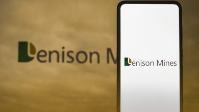 DNN ends 2025 higher ahead of Friday reopen