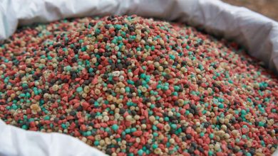 Millennial Potash earns ‘Buy’ rating in initial coverage from SCP