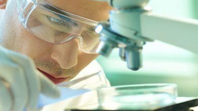 Assessing ANI Pharmaceuticals (ANIP) Valuation After Mixed Share Performance And Cortrophin Gel Growth Prospects