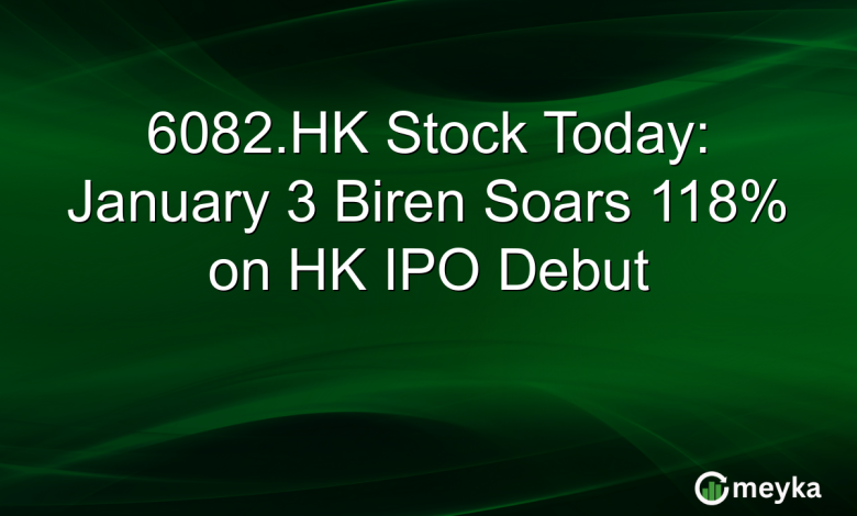 6082.HK Stock Today: January 3 Biren Soars 118% on HK IPO Debut