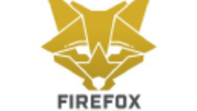 FireFox Gold to issue 144k shares to settle C2k debt with director