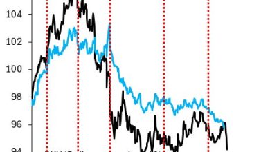 Profound Dollar Weakness – Robin J Brooks