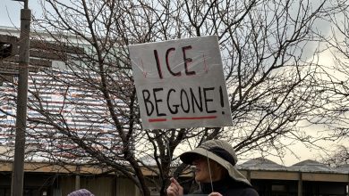 NY Immigration Coalition CEO on need for passing protections