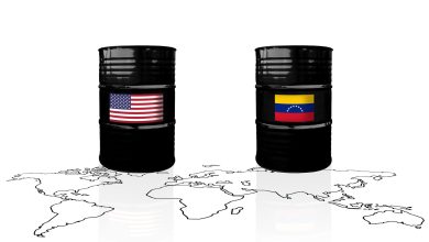 XLE Vs. VDE ETF: Why I Want A Small Slice Of Oil In My Portfolio (NYSEARCA:XLE)