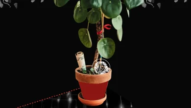 Bitwise CIO Identifies Gold Surge and Clarity Act’s Fate as Key Crypto Market Drivers Bitwise CIO Identifies Gold Surge and Clarity Act’s Fate as Key Crypto Market Drivers