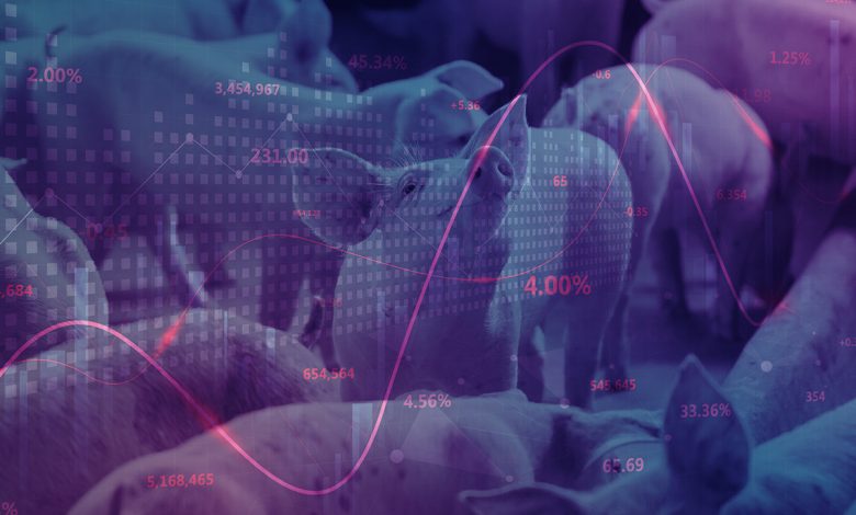 Weekly pig report: Cash hog index trends higher, supporting futures outlook