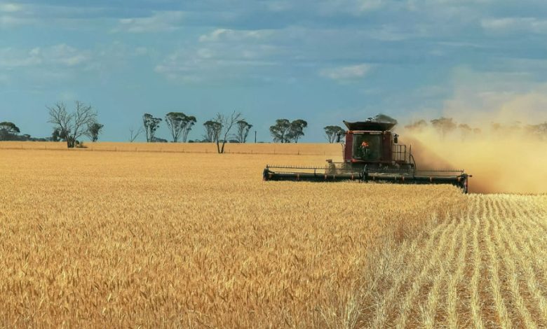 Politics to play a bigger role in agri markets as global tensions rise