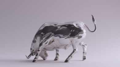 Silver Bulls Were Ringing in 2025 With Strong Inflows
