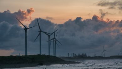 Some of the Best Sustainable Companies Call This ETF Home