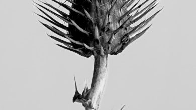 A&O Shearman advises on largest-ever defense IPO A&O Shearman advises on largest-ever defense IPO