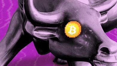 BitGo Seeks 1 Million In Landmark IPO Move