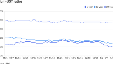 Shorter term munis firmer, USTs little changed after CPI