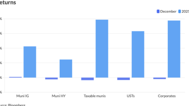 Munis touch firmer in spots to start 2026