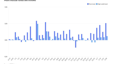 Munis slightly firmer, inflows top B