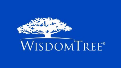 WisdomTree launches GDT and WTLS capital-efficient ETFs