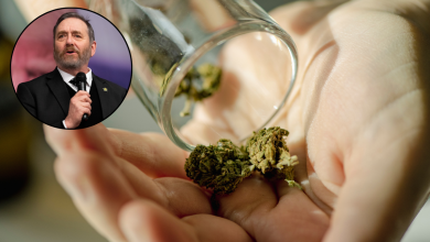 ‘Sloppy work,’ not politics, sank attempt on pot-law referendum