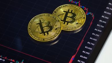 Bitwise CIO cites ‘the four-year cycle’ for losses