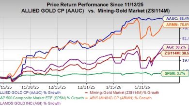 Should You Buy the Stock Now?