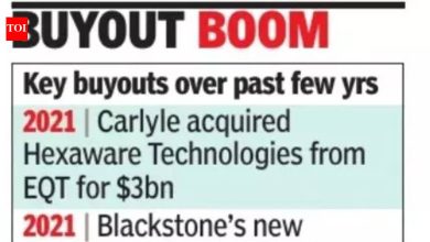 Buyouts help PE firms steer companies’ future plans