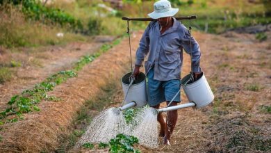 GLOBAL MARKETS-Stocks lower, gold settles higher as Trump’s tariffs spread uncertainty