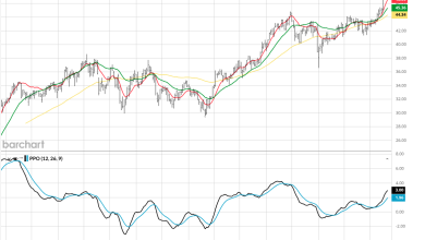 Steer Clear of Dividend ETFs: Why Dividend Stocks Are Better Bought Individually Steer Clear of Dividend ETFs: Why Dividend Stocks Are Better Bought Individually