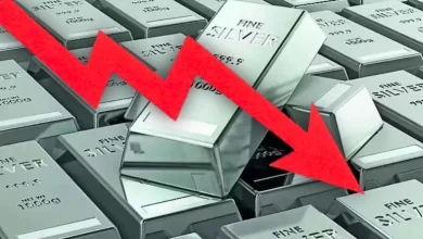 Indian Gold and Silver Futures Suffer Historic Market Drop