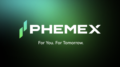 IPO Outlook & Market Valuation