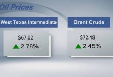 Crude futures settle higher