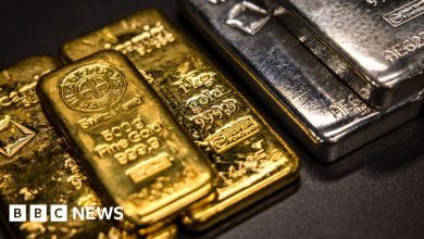 Market Massacre: Gold and Silver Crash as Trump Pick Shocks Wall Street | Streamline Feed