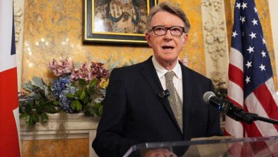UK’s ex-ambassador Mandelson quits Labour over Epstein links, reports say | Politics News