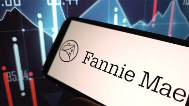 Fannie Mae earnings slump despite major staffing cuts