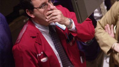 VV Handidly Beat the S&P 500, And Only Charges 0.04%